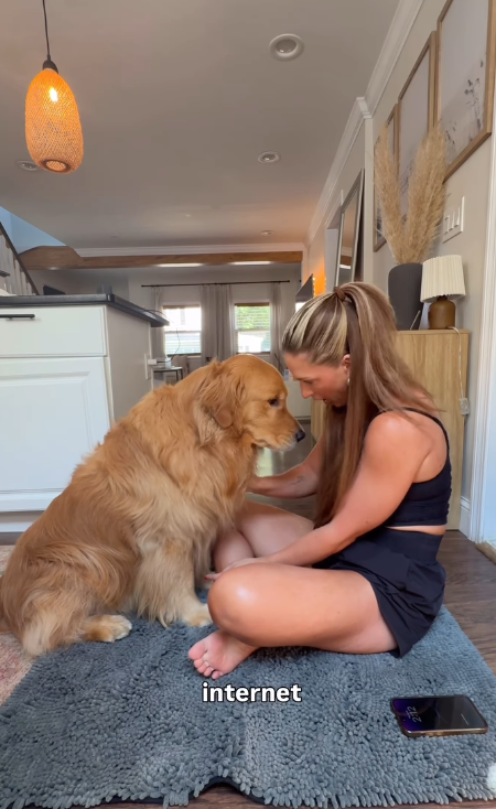Wally having a floor-side conversation with his owner in the kitchen
