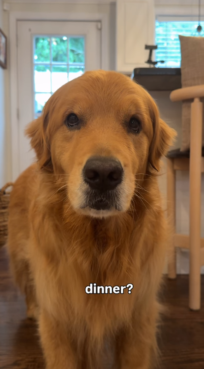 Wally walking up to the camera with a determined expression